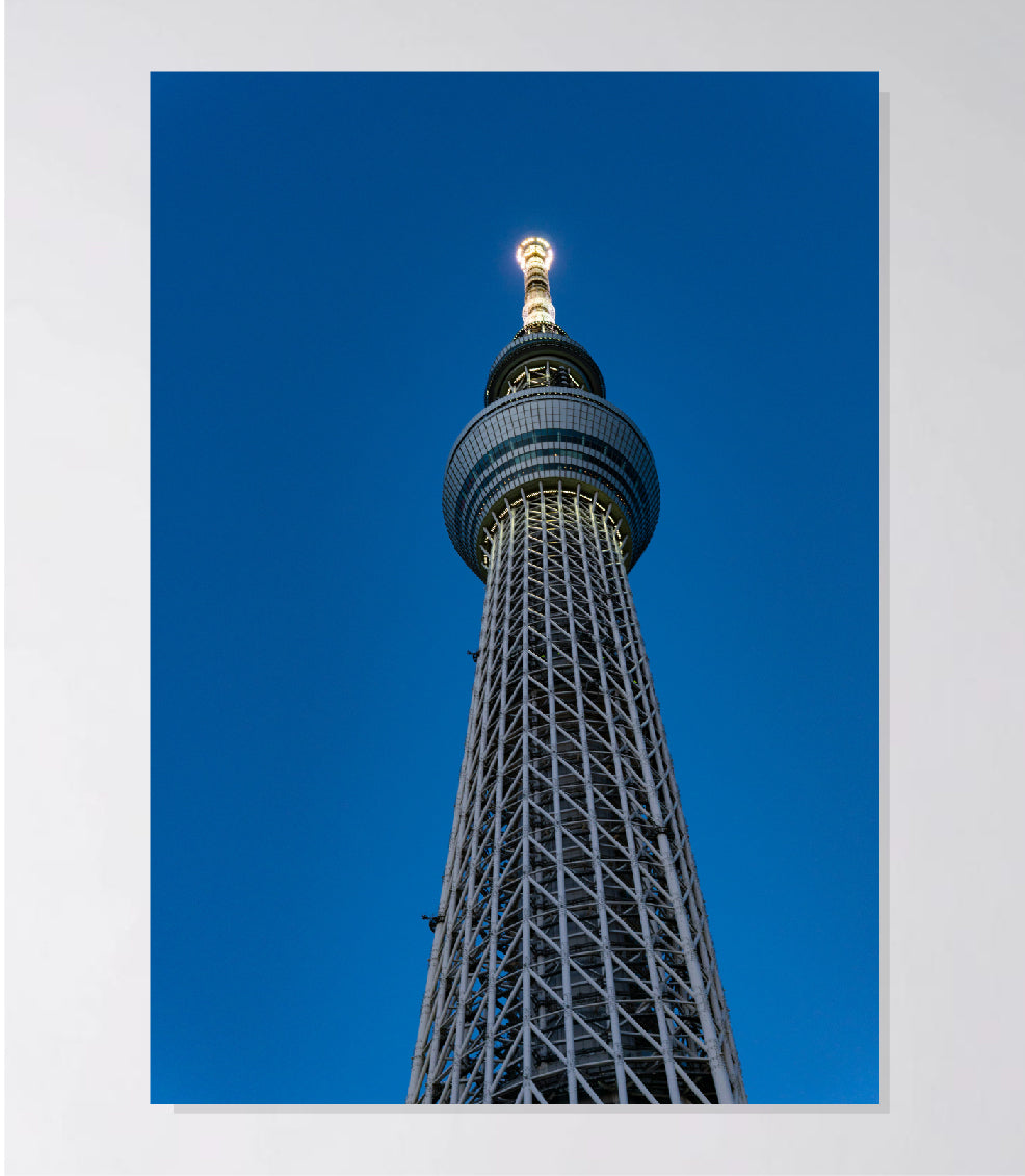 Dibond Wandbild "Tokio-Tower"